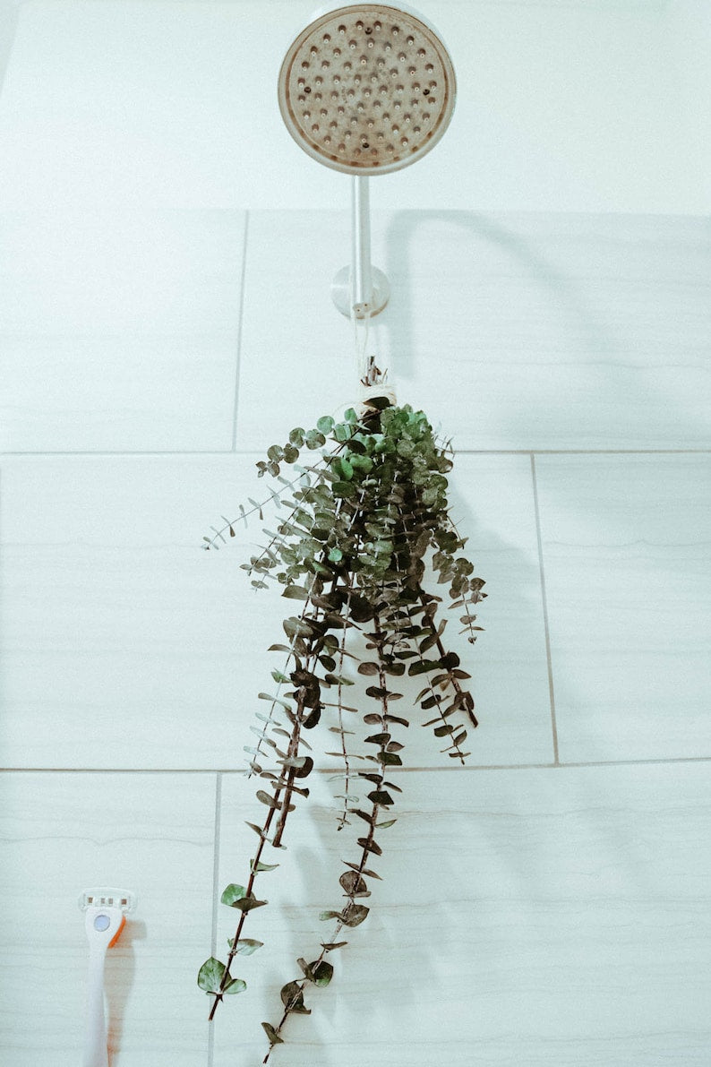 Boho Eucalyptus Shower Hanger